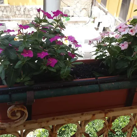 Al Bastione Imperiale Гостевой дом 3*